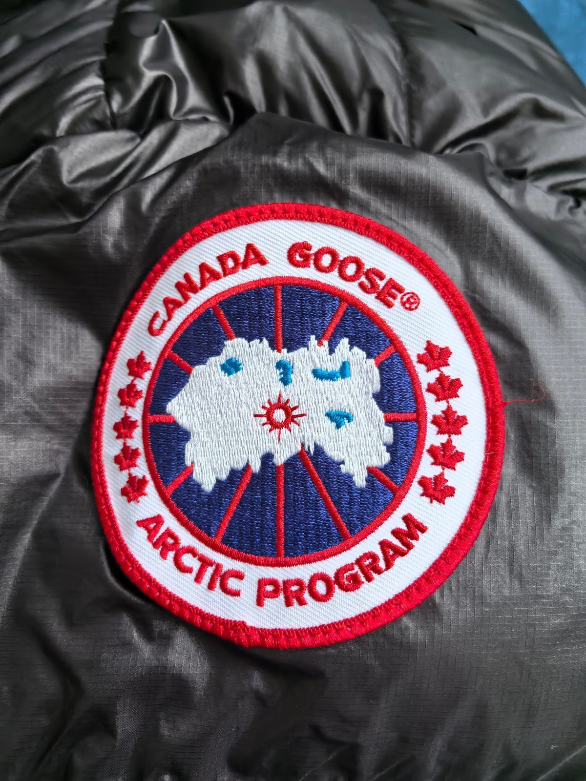 Chaqueta de plumas brillante