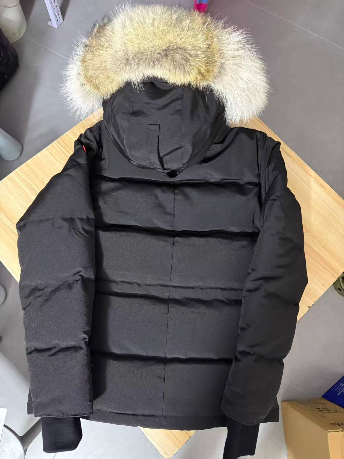 Winter Parka CG